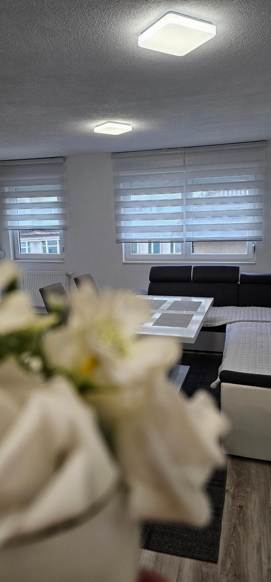Apartment Mima *